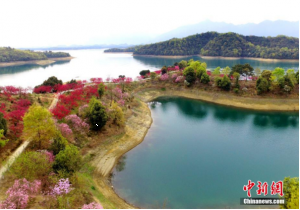 航拍江西庐山西海变“花海” 美如画卷