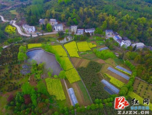 张家界武陵源“色彩乡村”空中俯瞰似油画