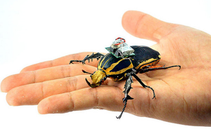 甲虫无人机，这事靠谱吗？