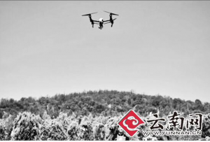 昆明首次启用无人机巡山防火