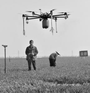 无人机防治小麦病虫害 