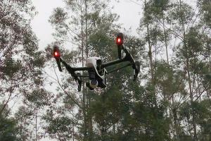 福建云霄联合打假队首用无人机入山搜查制假窝点