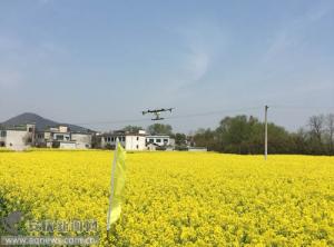 无人机植保演示