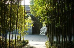 娄底供电公司用无人机巡查树竹生长情况