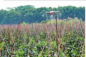 景洪: 备耕用上无人机