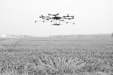 小麦一喷三防1亩7块，你敢喷吗？