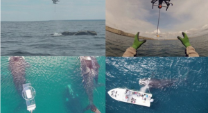 无人机7大用途 没有最奇葩只有更奇葩