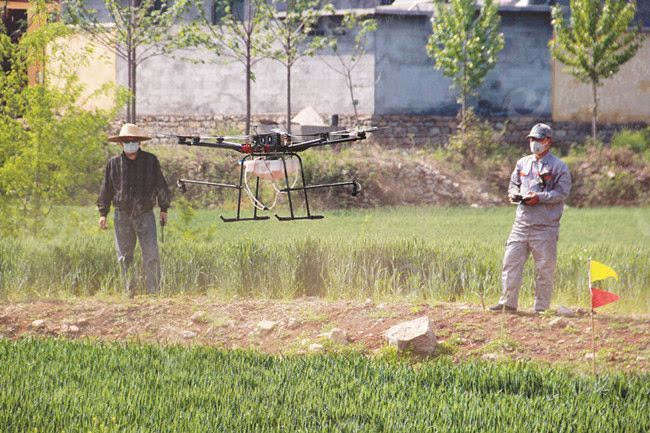 滕州:防治病虫害 用上无人机