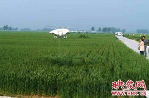 宝丰县开展无人机喷药防治病虫害