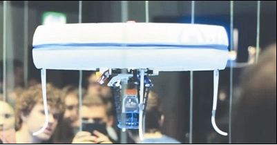 农作物也有一颗敏感的心