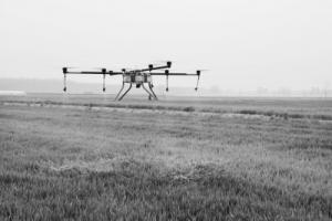 植保无人机“一喷三防”显身手