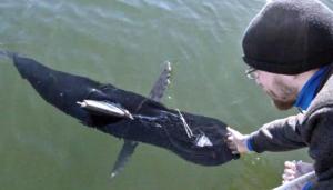 美威胁在南海部署无人水下航行器 港媒：加剧紧张