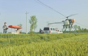 夏邑万亩小麦实施统防统治