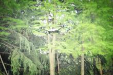 如影随形的无人机——Skye Orbit