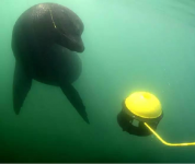 上天一点都不牛X，斯坦福开挂少年让无人机下水