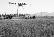 无人机植保点亮农业现场会