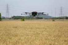 小昆山万亩农田将实施无人机喷洒农药 效率大增用药锐减