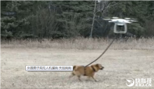 外国男子用无人机遛狗 失控狗狗"腾空而去"