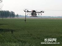 河北乐亭县利用无人机“一喷三防”作业近千亩小麦
