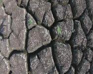 无人机航拍印度马拉特瓦达区大旱