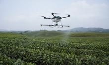 天鹰兄弟：小米跨界，我们只专注于农用无人机创新