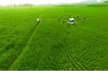 植保无人机成种粮大户新宠
