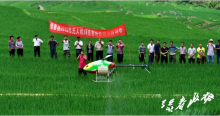 绿春县召开无人机病虫害统防统治现场会