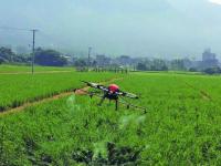 莆田仙游推广农业无人机喷药新模式