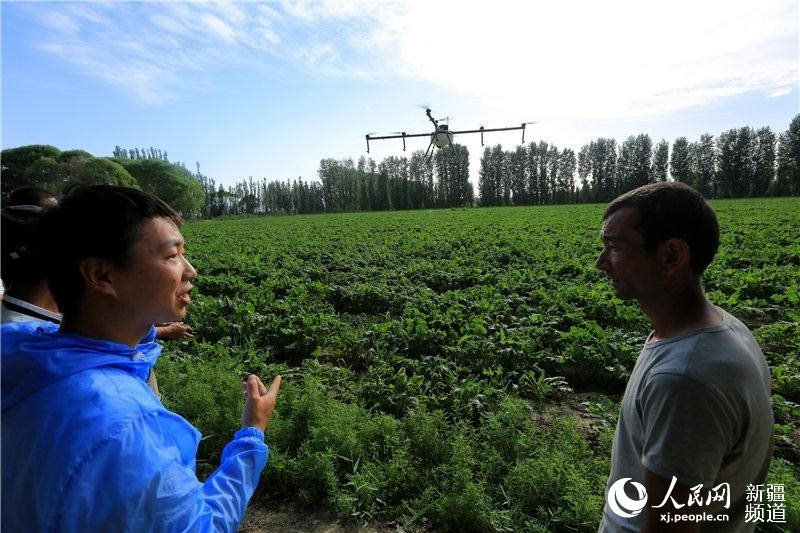 新疆博湖县引进植保无人机助农丰产增收