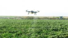 互助启用无人机防治害虫