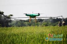 高大上！余江县防治早稻病虫害用上了无人机