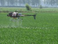 广西平桂举办植保作业无人机喷药演示观摩会