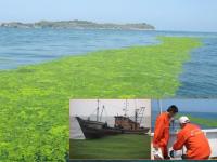 无人机在海洋调查中的应用前景展望