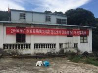 广东省2016年柑橘黄龙病无人机防控技术现场会开展