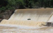 今年哈尔滨将首次启用无人机参与防汛工作