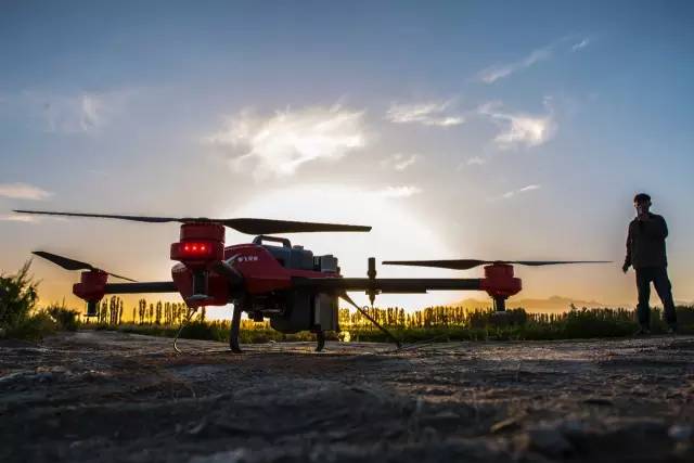 亏了50多万后，这位新疆农户悟出了一个道理