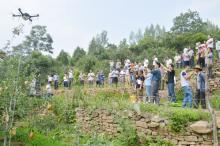 果农观摩无人机作业