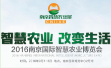 “智慧蔬菜大棚”夏季显神通