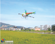 稻田上飞来无人机