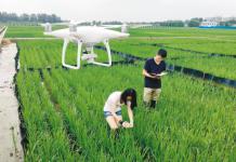 沈阳：无人机看护“开心农场”