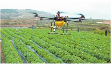详解无人机喷洒农药服务到底怎么样？价格如何？