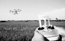 无人机助力田间管理