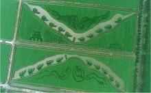 无人机航拍对农业的大作用