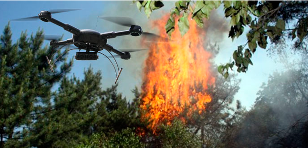 无人机用户干扰森林防火？美国加州相关部门会实施逮捕