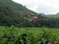 石屏龙朋镇大力推广无人机统防技术