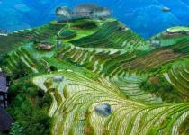 有个无人机露营概念，让你可以住在世界任何地方