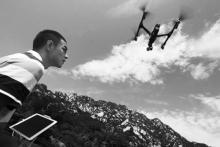 海淀凤凰岭 首用无人机巡护林地