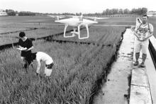 大学生用无人机管理农场