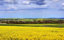 惠州出动无人机助力第三次农业普查