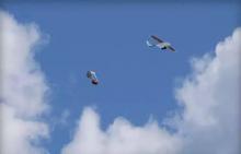 硅谷公司让卢旺达实现了无人机送药！